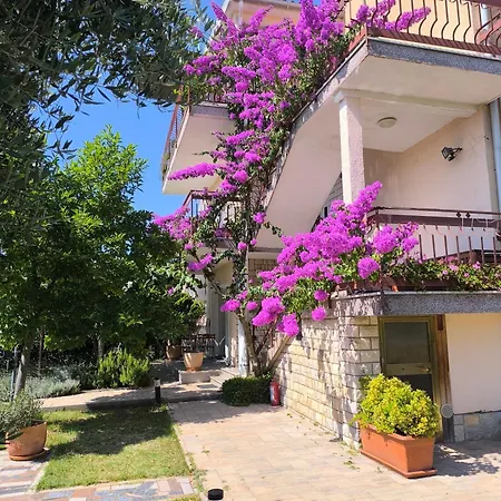 Lirio Apartment