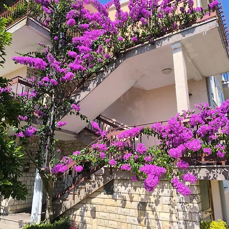 Lirio Apartment *
