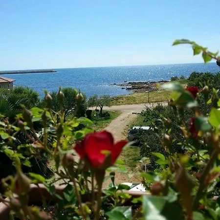 Lirio Umag