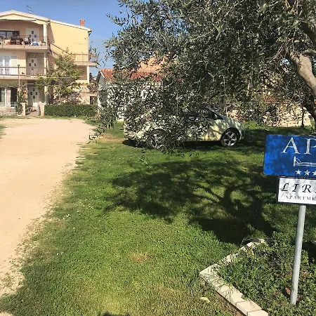 Lirio Umag