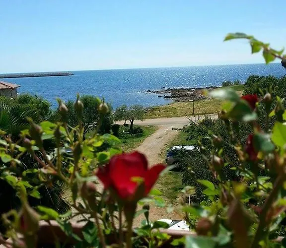 Lirio Umag