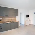 Lirio Appartement Umag